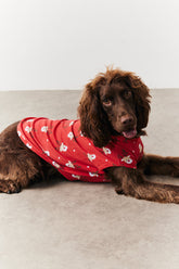 Dog Reindeer Print Pyjama