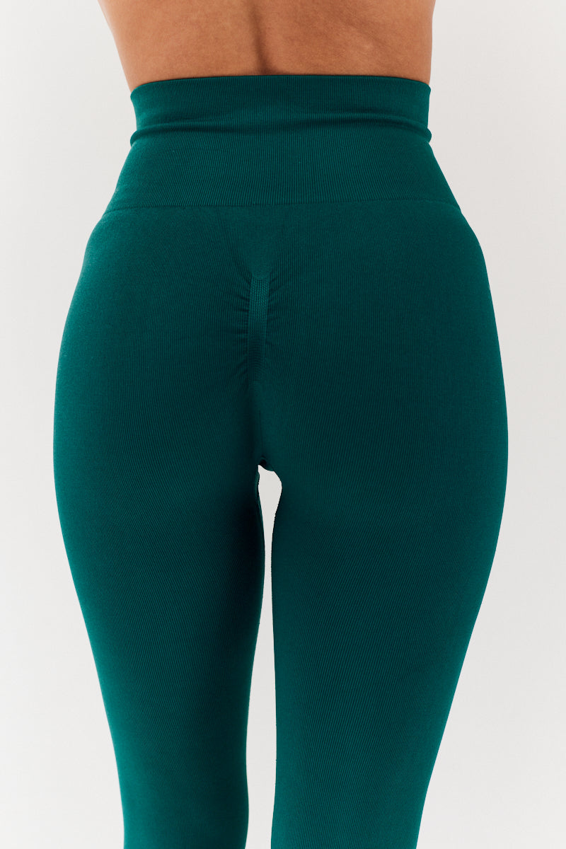 Seamless High Waist Bum Boosting Leggings