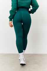 Seamless High Waist Bum Boosting Leggings